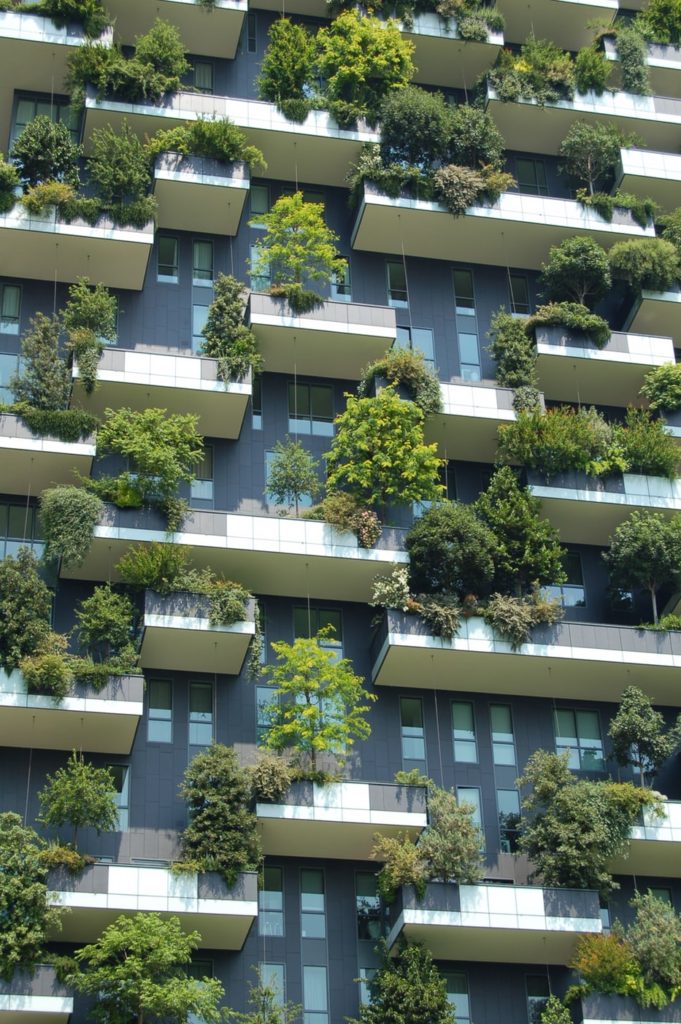 Building with trees on balconies