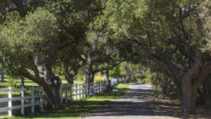 Hidden Valley Ranch Nicki & Karen Southern California Luxury Real Estate
