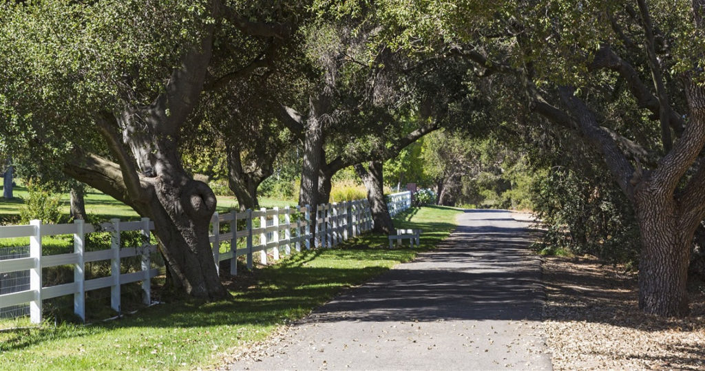 Brookfield Farms Hidden Valley