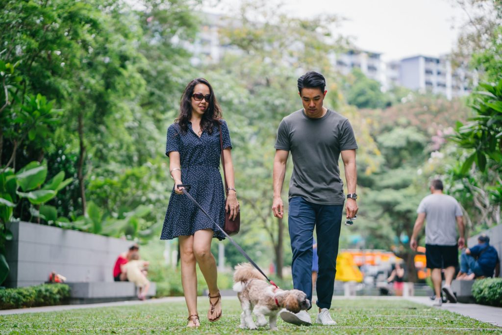 Couple at dog park in Westlake Village