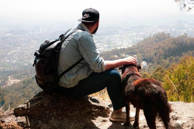 Dog on a hike in Westlake Village