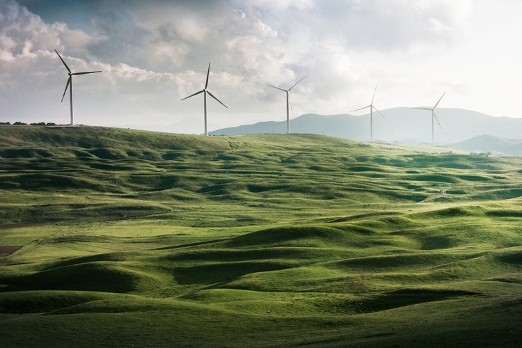 Windmills in California