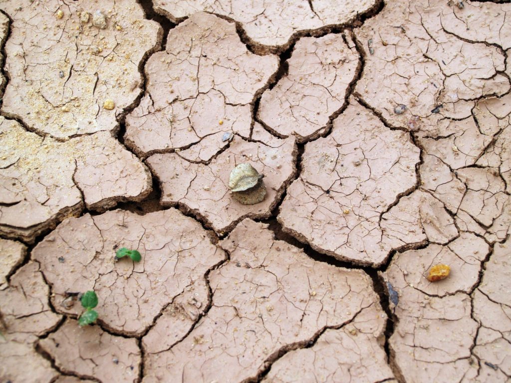 Cracks in the ground