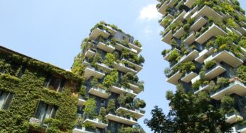 Eco-Friendly Home Trends Taking the Real Estate Market by Storm