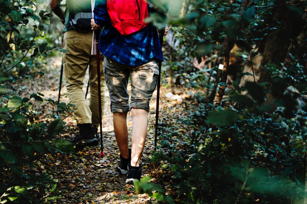 hiking trail woods