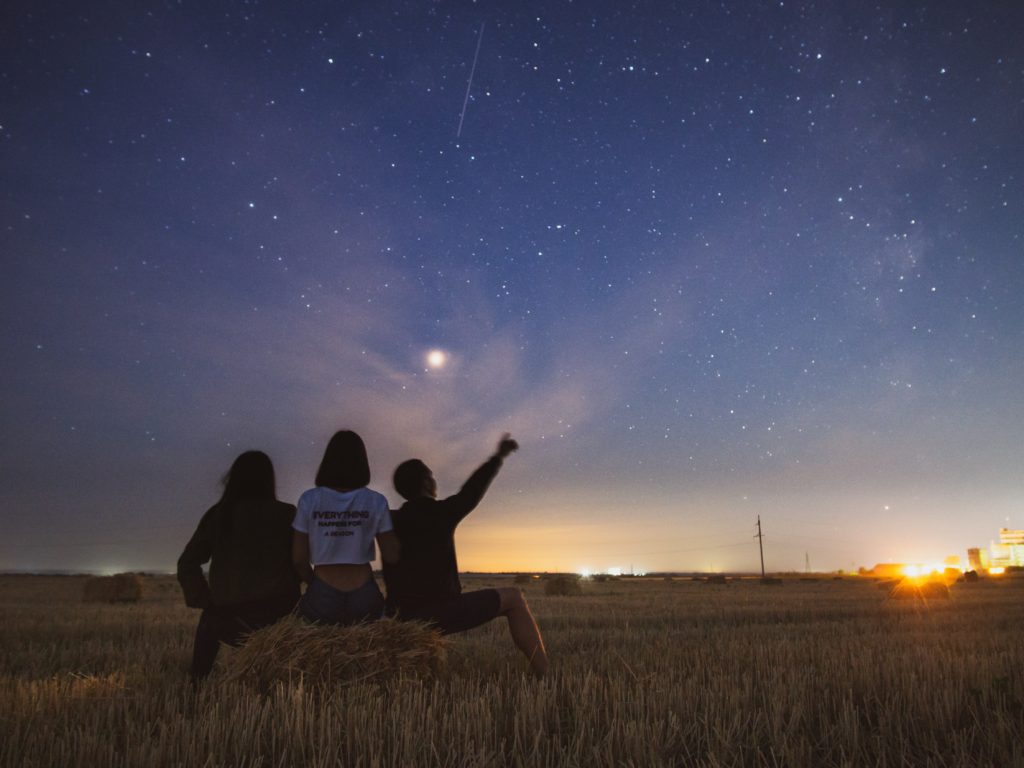 stargazing woods