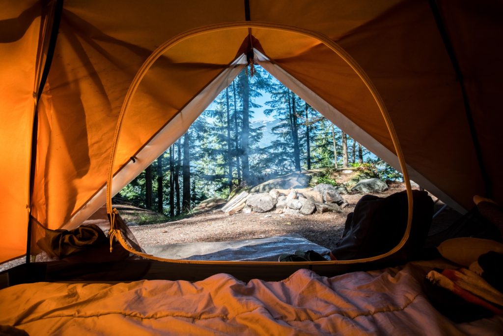 camping woods trees