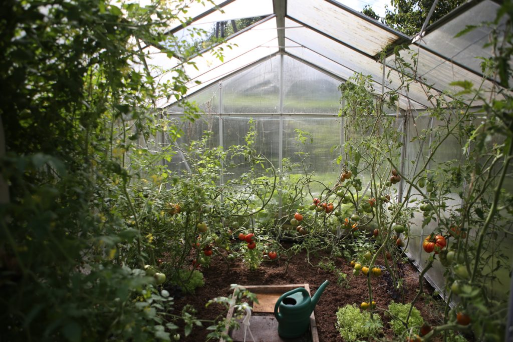 irrigation plant garden