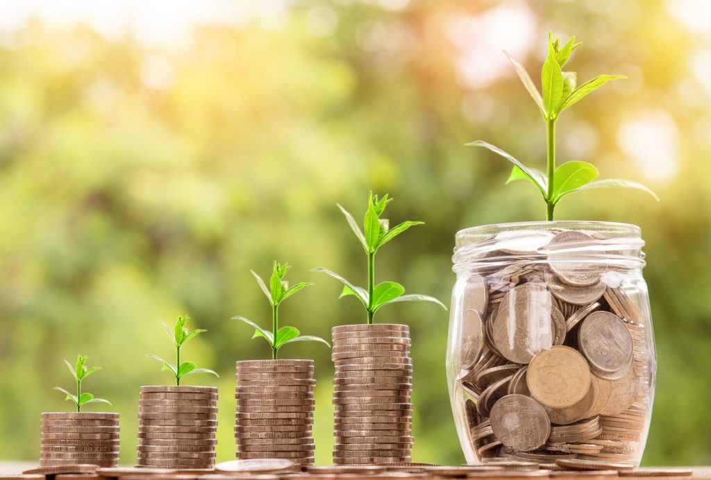 image of coins with plants growing from them