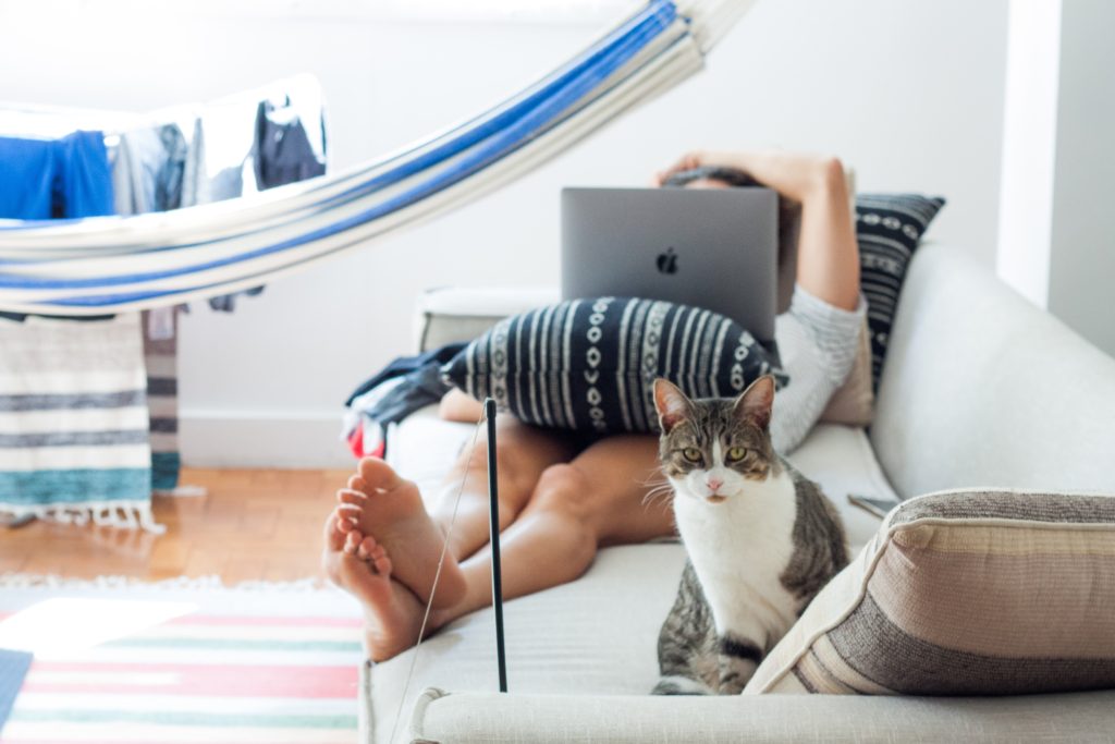 woman on laptop on couch with cat