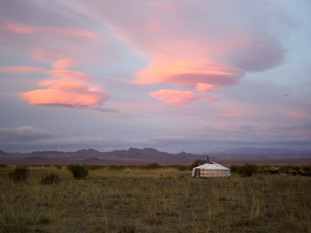 Yurt in a field