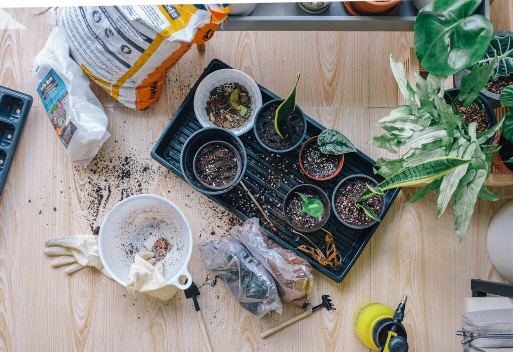 plant propagating