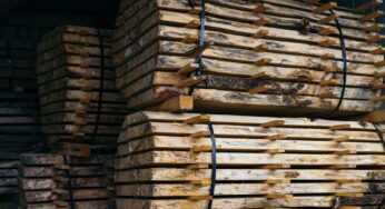 Timber Trouble: Will Lumber Prices Finally Drop in 2023?