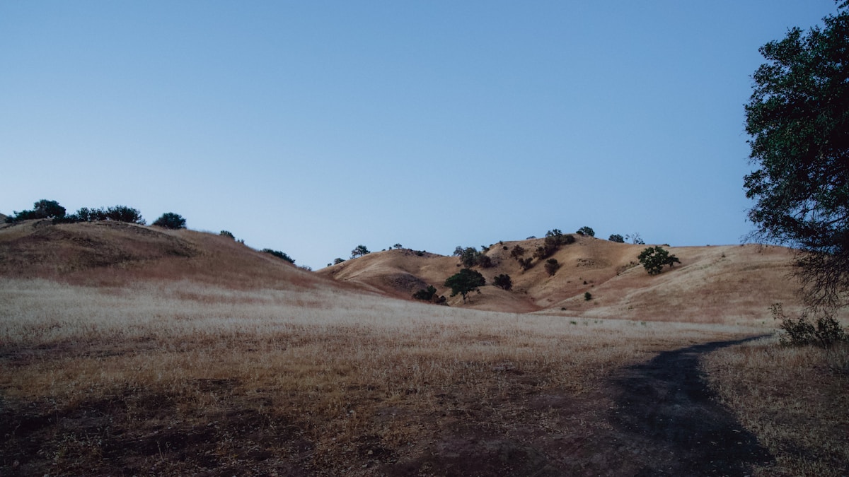 Grassy hills with trees at a Calabasas open space natural area